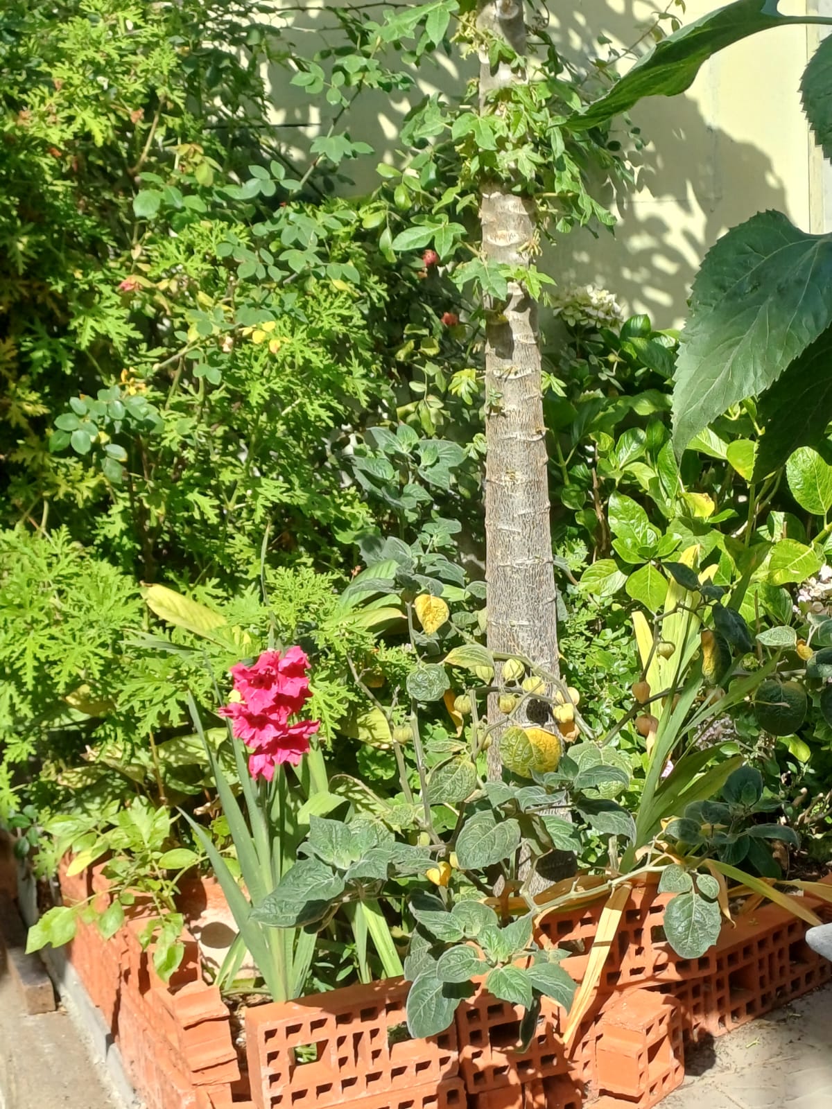 Vista Casa Hospedaje 3